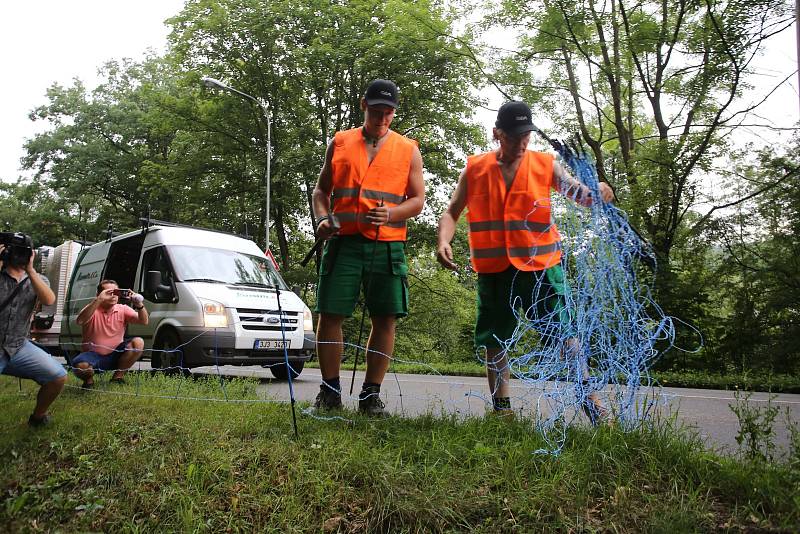 Elektrické ohradníky by měly zabránit migraci prasatům nakaženým africkým morem prasat. Ohradníky dnes začali pracovníci najaté firmy instalovat v úseku Zlín-Fryšák.