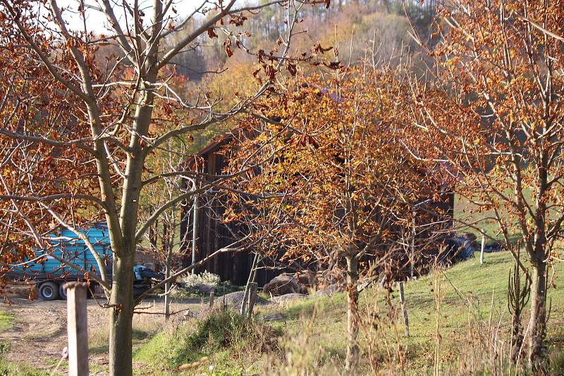 Farma, kde došlo k úhynu skotu. Podle policie šlo o zanedbání péče.