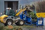 Zlínské technické služby během prvních čtyrech dnů, kdy svážejí vyhozené vánoční stromky, rozdrtili na skládce ve Zlíně Mladcové na palivovou štěpku téměř 5 tun dřevin.