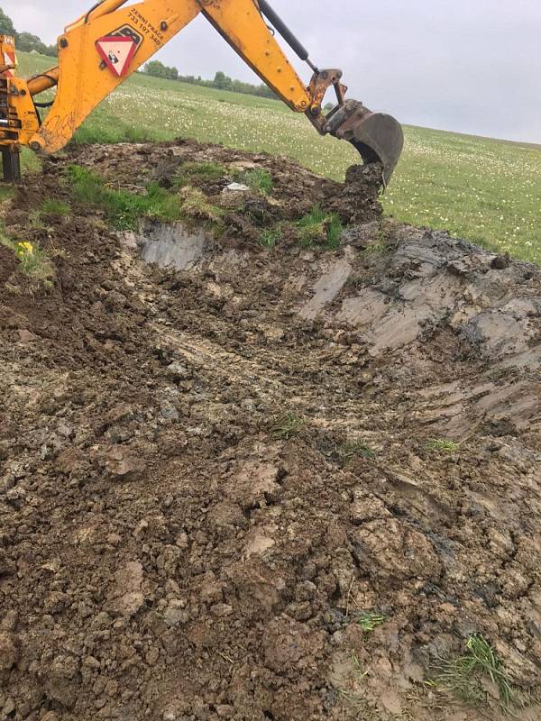 Výsadba ovocných stromů a vybudování napaječky pro zvěř.