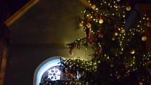Vánoční strom Lípa