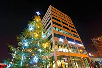 U Obchodního domu po devíti letech opět září vánoční strom