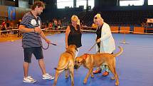 V sobotu 9. června 2018 se konala ve zlínské Sportovní hale Euronics 34. Krajská výstava psů Zlín.