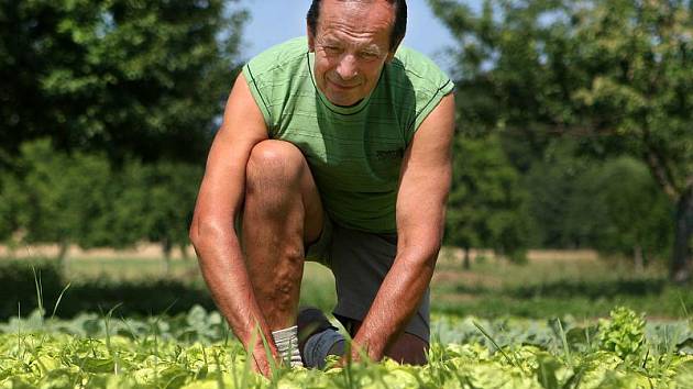 Josef Košař, pěstitel ekozeleniny, nejlepší český zemědělec v biovýrobě za rok 2010