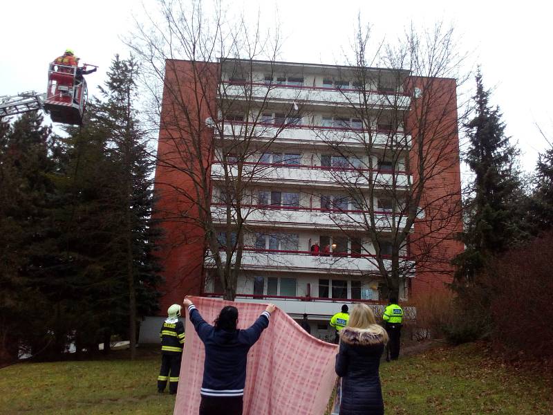 Papoušek Oskar je zpátky doma. Jeho záchrana se vydařila.