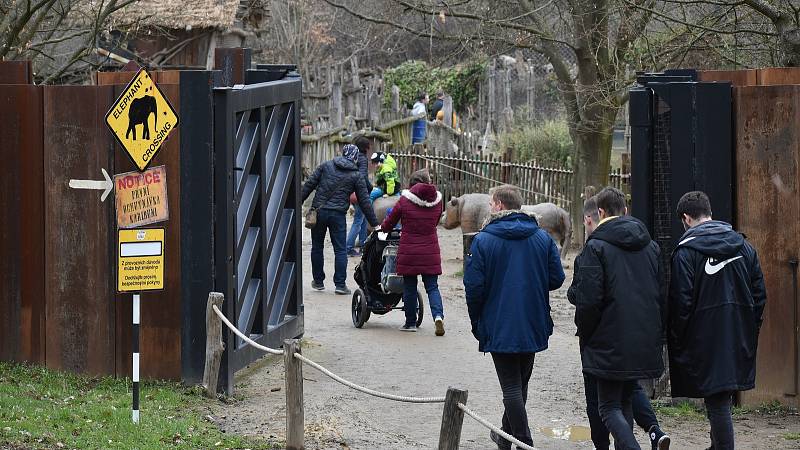 Zlínská zoologická zahrada, duben 2021.