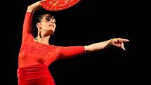 Flamenco