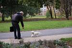 Malenovické náměstí a Centrální park na Jižních svazích. Tam nově budou mít psi zákaz vstupu.