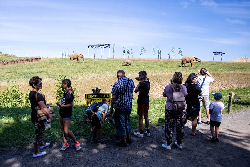 Sloni ve zlínské zoologické zahradě Lešná, 11. srpna 2022