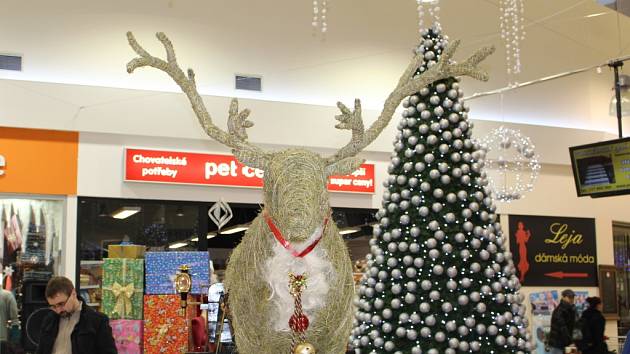 Vánoční nákupy ve Zlíně.