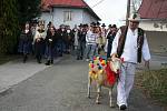 V Jasenné na Zlínsku se hody neobejdou bez vodění berana po vsi. Obnovenou tradici udržuje každoročně Valašský soubor Portáš.