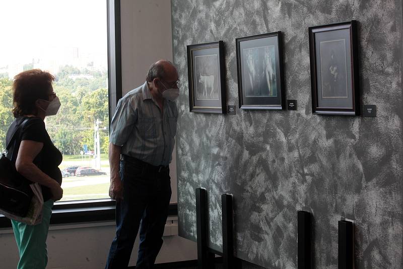 Jan Saudek vystavuje průřez svojí tvorbou - 85 fotografií v Obchodním domě Zlín