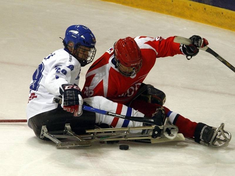 Sledge hokej - ČR vs. Korea