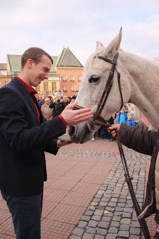 Svatomartinské oslavy ve Zlíně