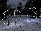 Rozsvícení stromečku a vánoční výzdoby v ZOO Zlín, 10. prosince 2023.