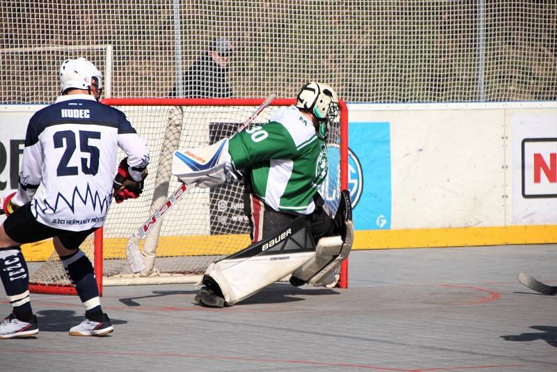 1. hokejbalová liga, Heřmanův Městec - Malenovice