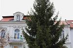 Vánoční strom ve Valašských Kloboukách.