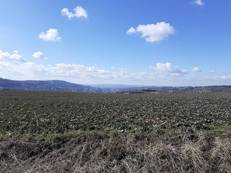 Štákovy Paseky. Kaplička