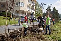 V Luhačovicích si akce "Zasaď si svůj strom " setkala s velkým ohlasem obyvatel.