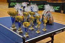 Seniorské přebory okresu Zlín ve stolním tenise se uskuteční v sobotu 6. ledna ve Slavičíně. V místní sportovní hale se představí 40 – 50 hráčů z 28 oddílů.