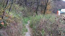 Cestou na zlínský hřbitov musí maminka s kočárem překročit padlou haluz, projít hromadou listí, menším pralesem, vyhnout se odhozeným dlažebním kostkám a balancovat na dírách.