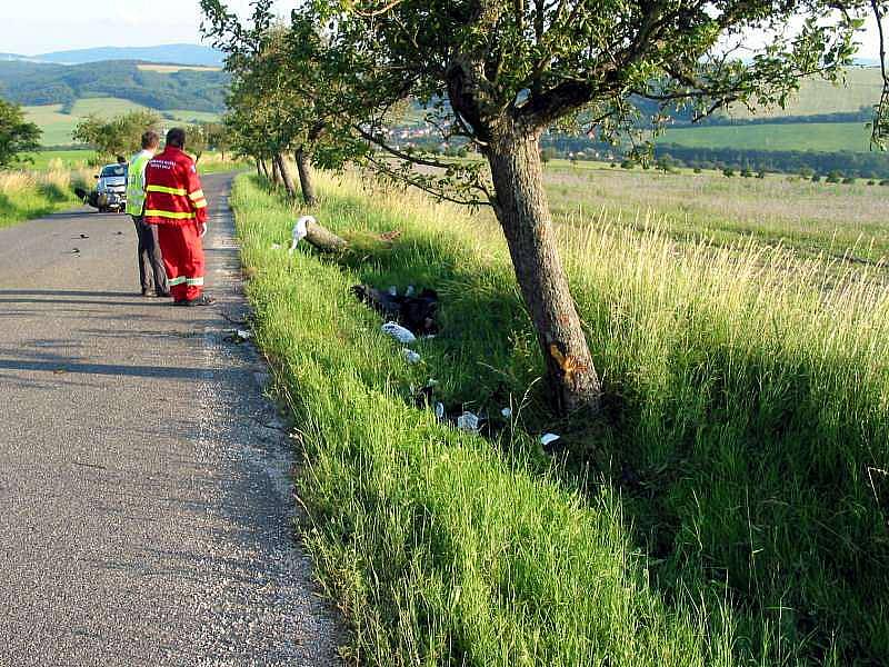 Střet se srnou motorkář nepřežil.