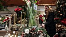Vánoční výstava ve Fantastic flowers ve Zlíně.