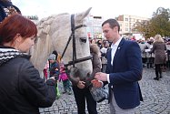 Do Zlína zavítal svatý Martin na bílém koni. Svatomartinskou tradici zajišťují děti ze zlínské ZUŠ.