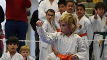 Zlínští karatisté získali na letošním mistrovství České republiky devětatřicet medailí a dvanáct titulů národních šampionů. Foto: Akademie karate Zlín, Luisa Prokopová