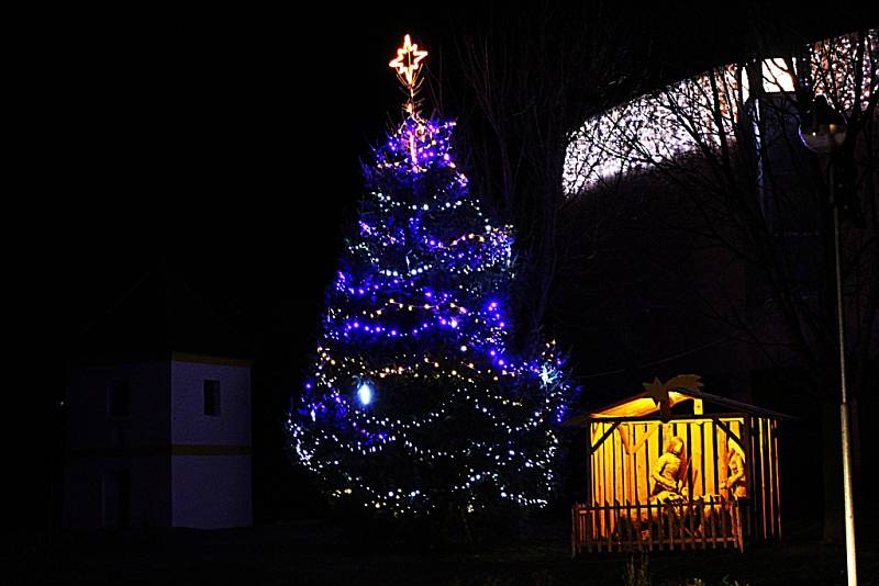 Vánoční strom Traplice