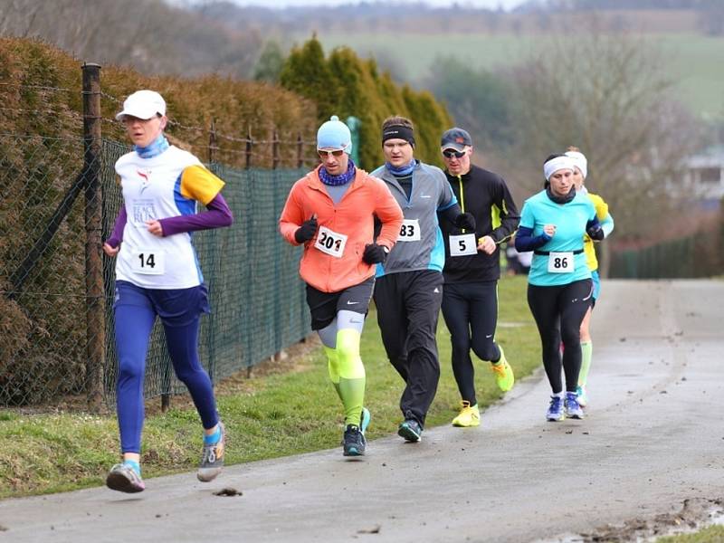 Jarní půlmaraton ve Zlíně, březen 2016