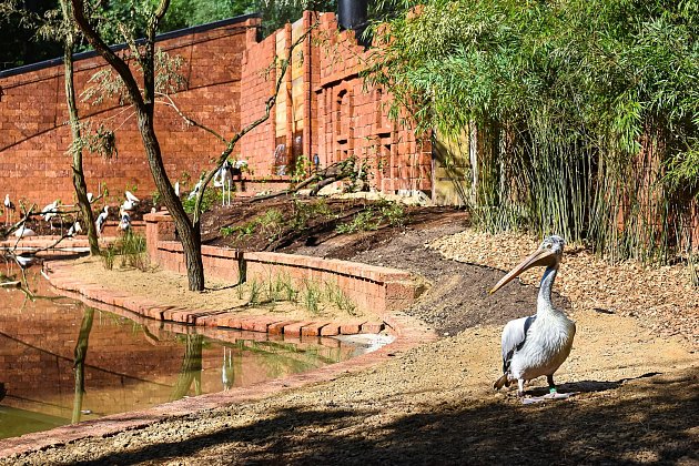 V Zoo Zlín otevřeli o víkendu novou expozici Kerala.