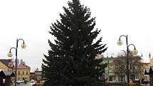 Holešovský strom pochází z vlastních zdrojů města. Tentokrát ho na náměstí přivezli ze sídliště Letiště. Smrk posetý šiškami a světélky je vysoký asi deset metrů. 