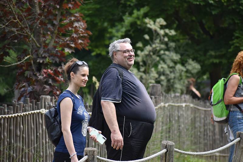 Veřejnost poprvé spatřila nově narozené mládě slona afrického. ZOO Lešná, Zlín.