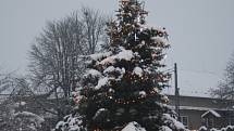 Vánoční strom Újezd
