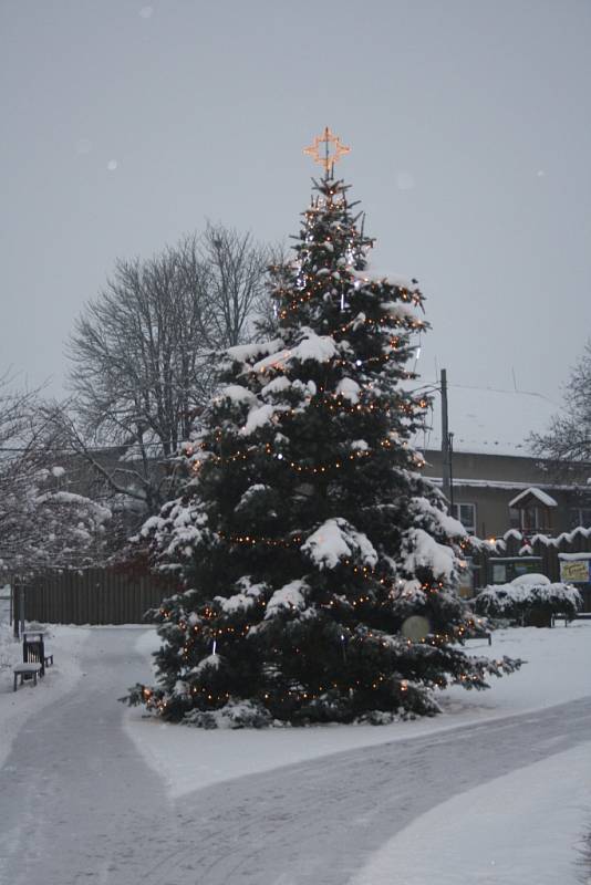 Vánoční strom Újezd