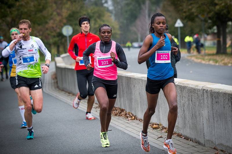 Otrokovický půlmaraton 2019