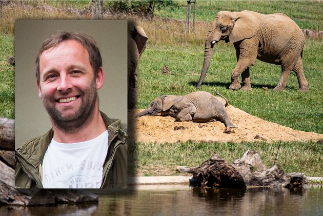 Ředitel Zoo Zlín o slonech, druhé etapě Karibuni i záchranném centru pro lvy