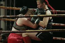Již 5, ročník galavečeru bojových sportů Fight Night proběh druhý listopadový pátek ve zlínské sportovní hale.