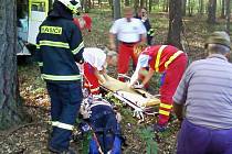 Neštěstí na Kudlově. Při kácení stromů došlo k pádu jednoho z nich na ženu, která byla velmi vážně zraněna.   