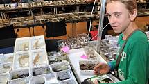 Již 25 let pořádá Dan Čagánek se svojí ženou Entomologickou výstavu v Otrokovicích. V pořadí již 47. setkání  milovníků hmyzu, pavouků a plazů se konalo v sobotu 14. října v Otrokovické besedě. Výměnného dne s prodejní výstavou se pravidelně zúčastní na d