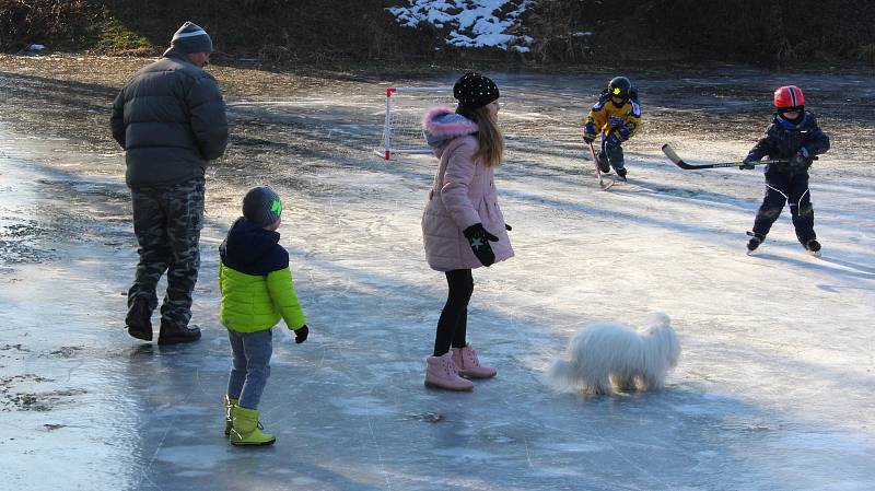 Současné mrazy pokryly ledem i rybník v Tlumačově. Toho využily nejen děti k bruslení a hrátkám.