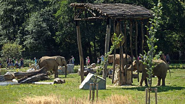 Nový výběh pro slony Karibuni ve zlínské zoo