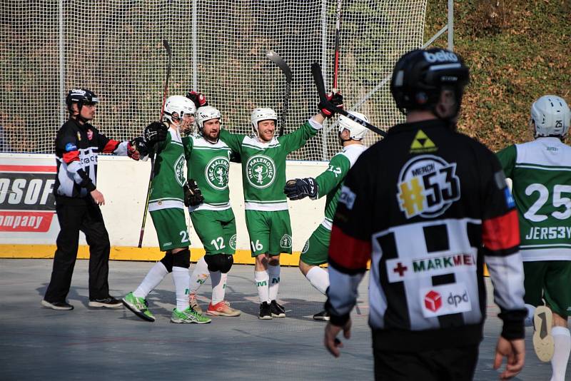 1. hokejbalová liga, Heřmanův Městec - Malenovice