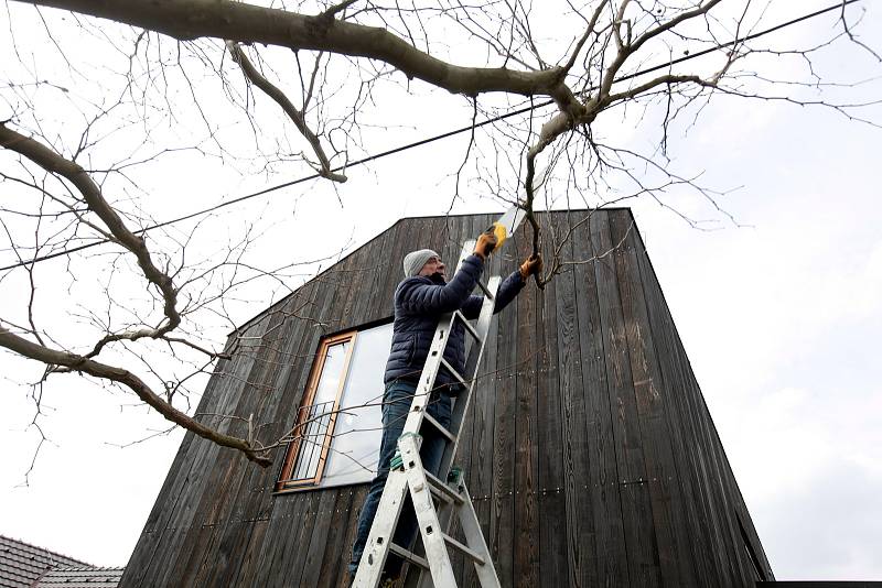 Prořezávání stromů. Architekt Pavel Mudřík