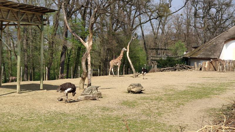 První máj v Zoo Zlín