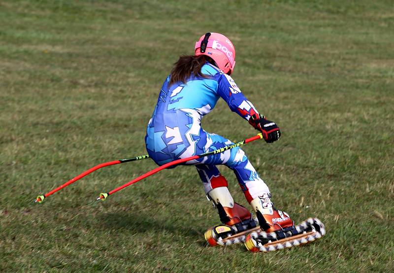 Juniorské mistrovství světa v travním lyžování 2019