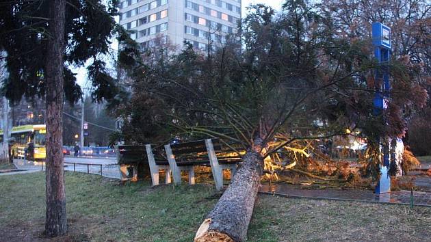 Hasiči odstraňují strom spadlý na troleje ve Zlíně