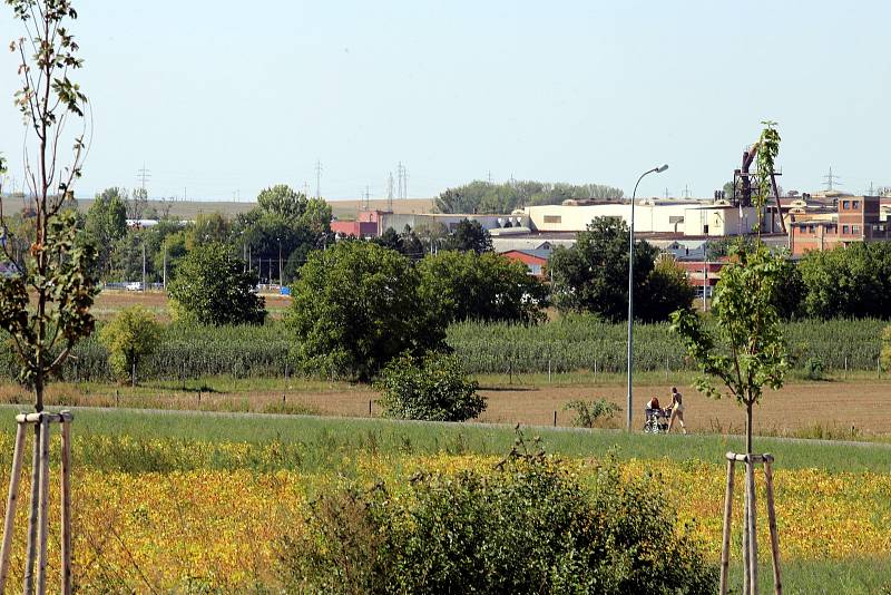 Pozemek pro stavbu nové krajské nemocnice v Malenovicích.