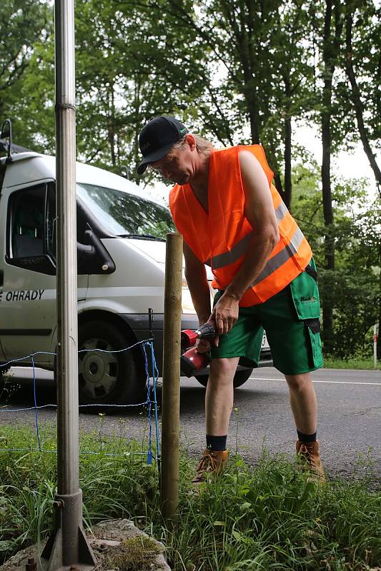 Elektrické ohradníky by měly zabránit migraci prasatům nakaženým africkým morem prasat. Ohradníky dnes začali pracovníci najaté firmy instalovat v úseku Zlín-Fryšák.